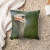 だちょう クッション (ブランケット)