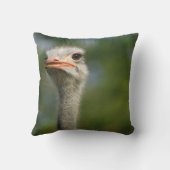 だちょう クッション (裏面)