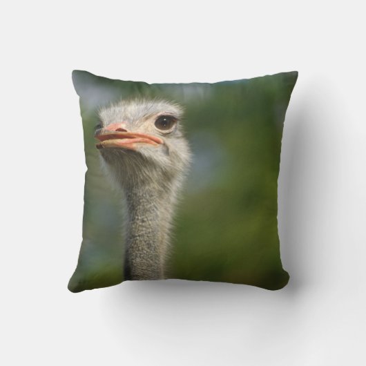 だちょう クッション (裏面)