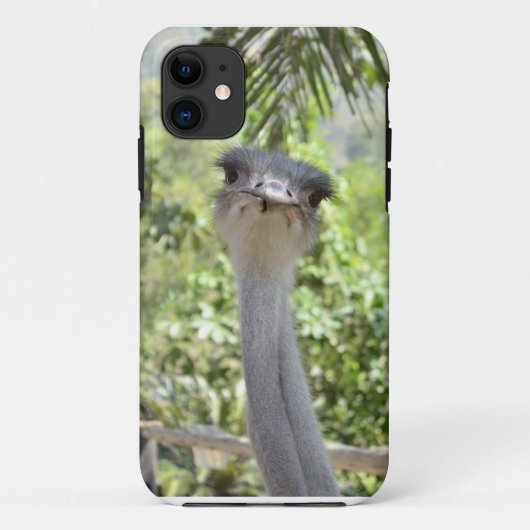 だちょう Case-Mate iPhoneケース (裏面)