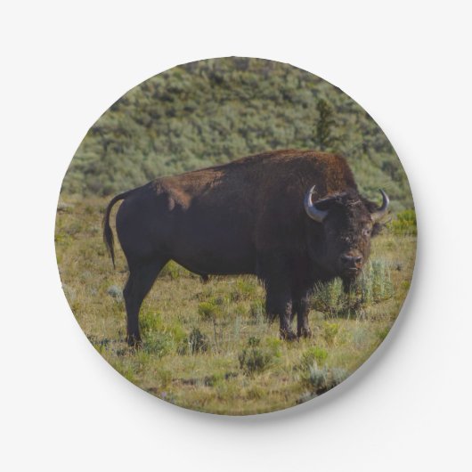 だれか見ている ペーパープレート (正面)