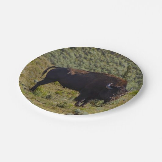 だれか見ている ペーパープレート (アングル)