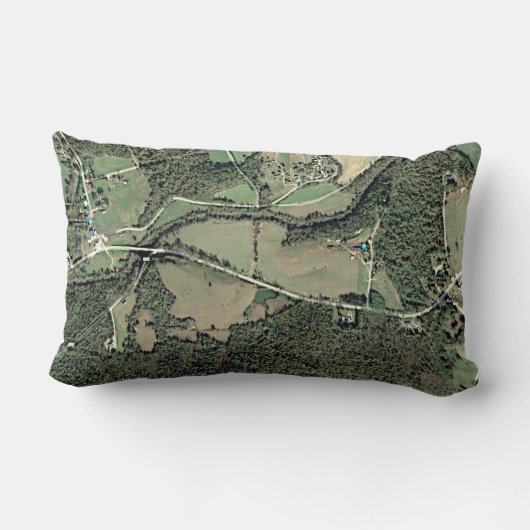 だれがある考えるかファーガソンNCの枕か- ランバークッション (裏面)