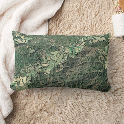 だれがある考えるかファーガソンNCの枕か- ランバークッション (ブランケット)