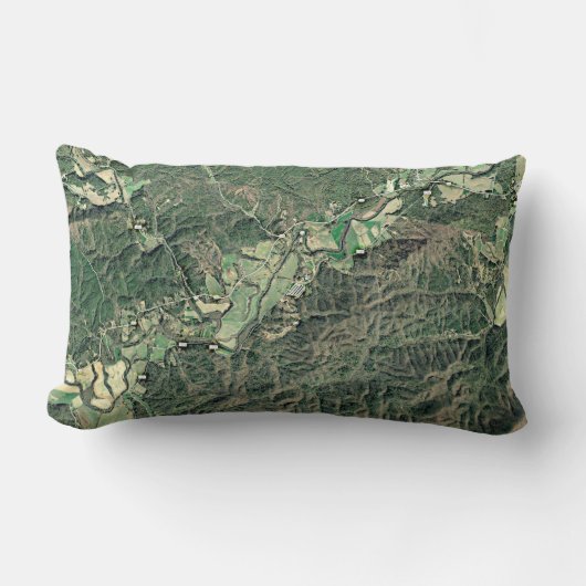 だれがある考えるかファーガソンNCの枕か- ランバークッション (正面)