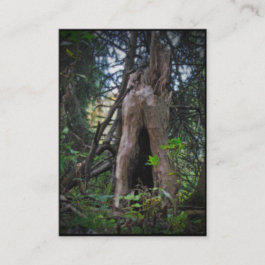 だれがここに住んでいますか。 ATC 名刺 (正面)