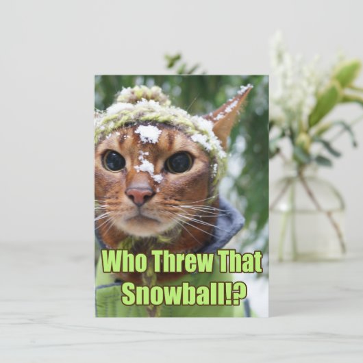 だれがその雪玉を投げました!か。 平らなカード- 10の箱 シーズンカード (スタンド正面)