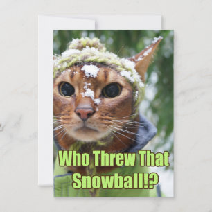 だれがその雪玉を投げました!か。 平らなカード- 10の箱 シーズンカード