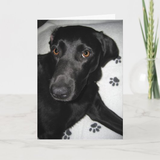 だれが今残念であるか カード (正面)