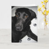 だれが今残念であるか カード (黄色い花)