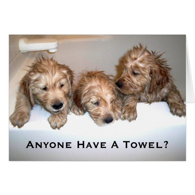 だれでもタオルがありますか。 (正面横)