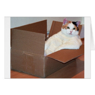 "だれでも私の陰を見ましたか。"