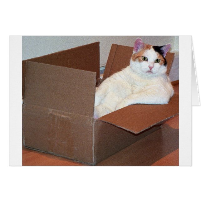 "だれでも私の陰を見ましたか。" (正面横)