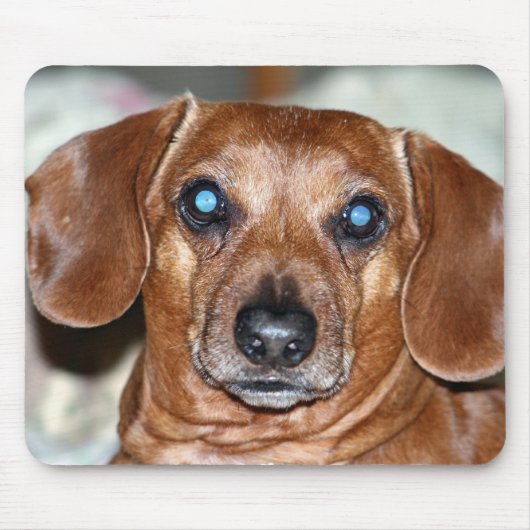 だれ私か マウスパッド (正面)