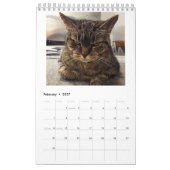 だれ私の猫を離れたPの*** EDか。 年次カレンダー2018年 カレンダー (2月 2027)