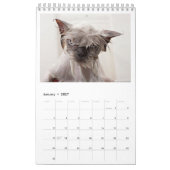 だれ私の猫を離れたPの*** EDか。 年次カレンダー2018年 カレンダー (1月 2027)