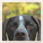 だれDat犬か ガラスコースター (正面)