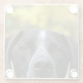 だれDat犬か ガラスコースター (裏面)