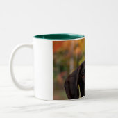 だれDat犬か。 ツートーンマグカップ (左)