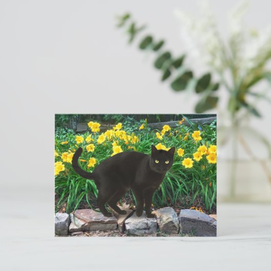 「ちいさなクマ」のはがき ポストカード (スタンド正面)