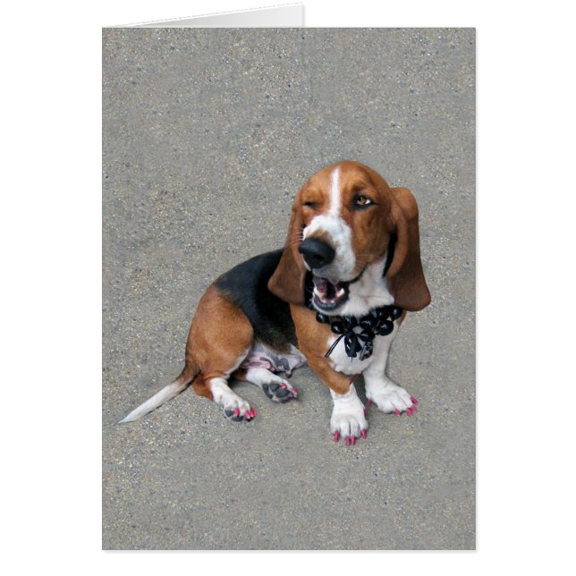 ちくしょうかわいい (正面)