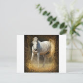 ちくしょう! ポストカード (スタンド正面)