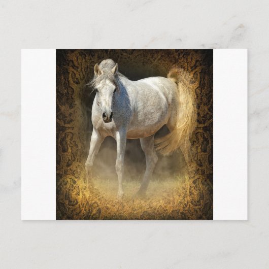 ちくしょう! ポストカード (正面)