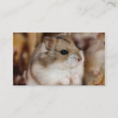 ちっぽけな名刺 名刺 (裏面)