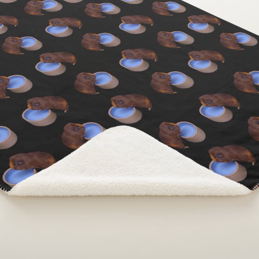 ちっぽけな茶色の毛をしたギニア豚 シェルパブランケット (3/4)