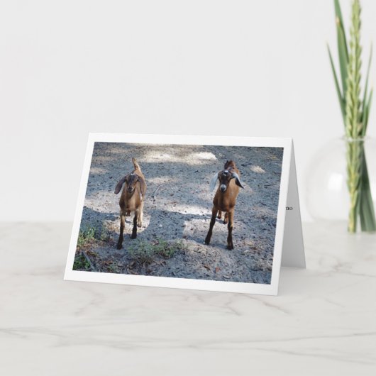 ちょうどあなたおよび私子供! カード (正面)