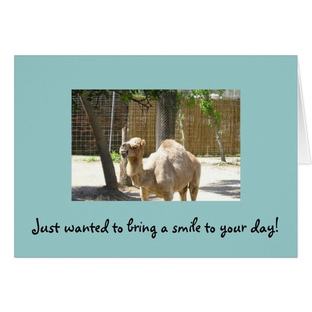 ちょうどあなたの日にスマイルを持って来たいと思いました (正面横)