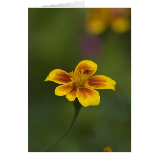 ちょうどいい場所 (正面)