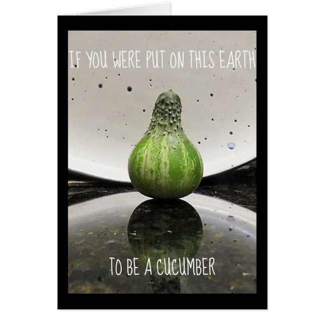 ちょうどおもしろいのために (正面)