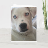 ちょうどこの顔を.....見て下さい カード (裏面)