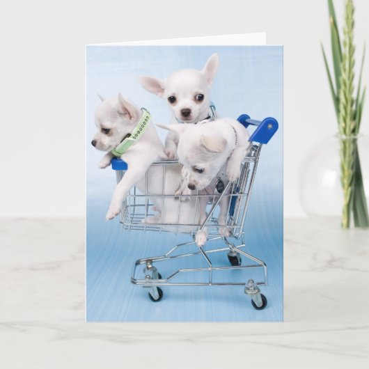 ちょうどこんにちは言います カード (正面)