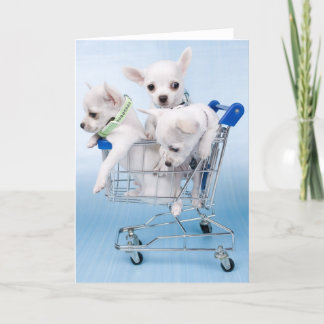 ちょうどこんにちは言います カード