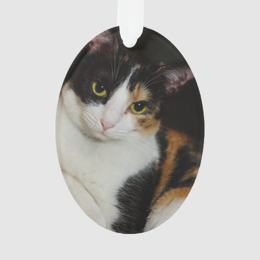 ちょうどつるします オーナメント (裏面)