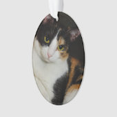 ちょうどつるします オーナメント (正面)