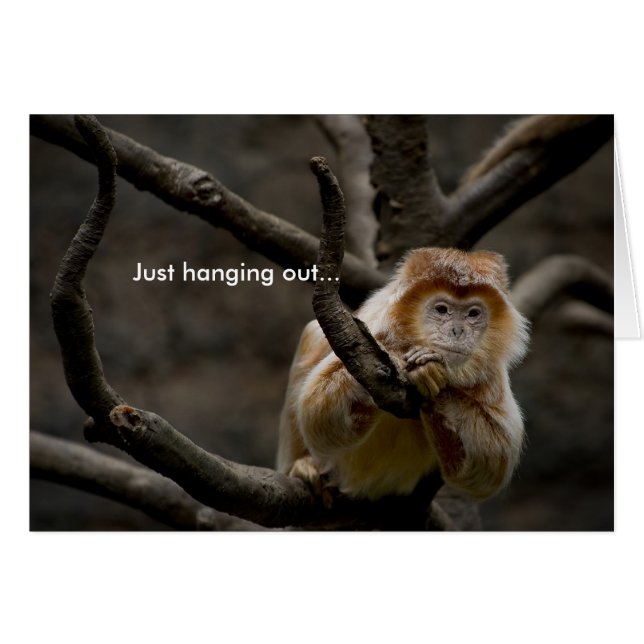 ちょうどぶら下がった… (正面横)