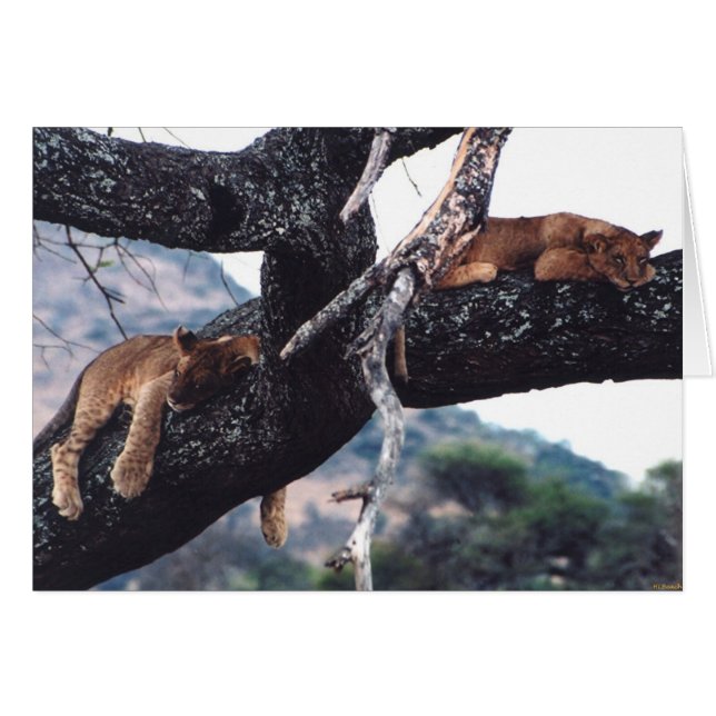 "ちょうどぶら下がった" (正面横)