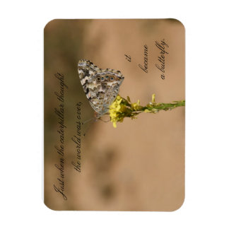 ちょうどキャタピラ考えーが – マグネット