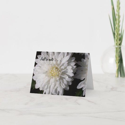 ちょうどノート… カード (正面)