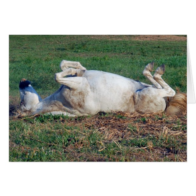 ちょうど休みます (正面横)