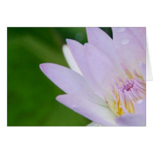 ちょうど写真撮影のあなたまたははすのために