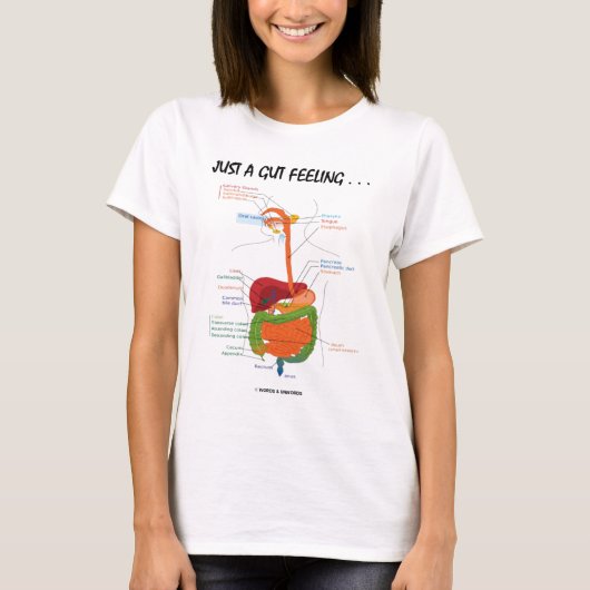 ちょうど勘… (消化系のユーモア) Tシャツ (正面)
