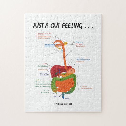 ちょうど勘… (消化系) ジグソーパズル (縦)