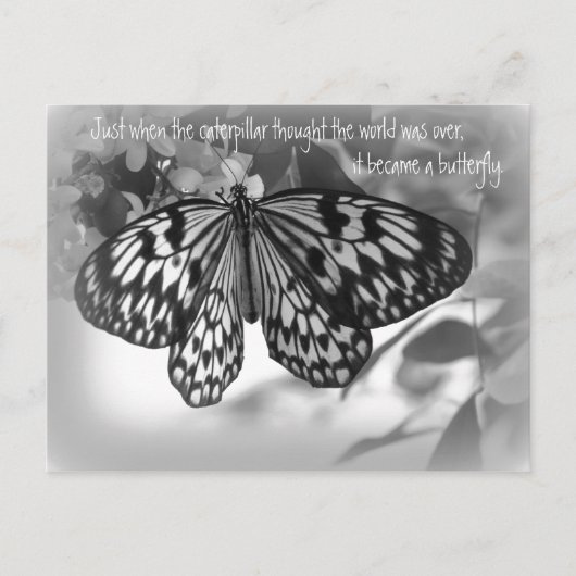 ちょうど地球の毛虫考えが来た時 ポストカード (正面)