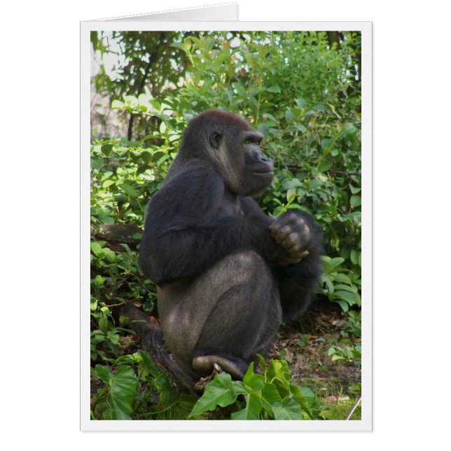 、ちょうど坐る多分坐ります、しかしおそらく、考えること (正面)