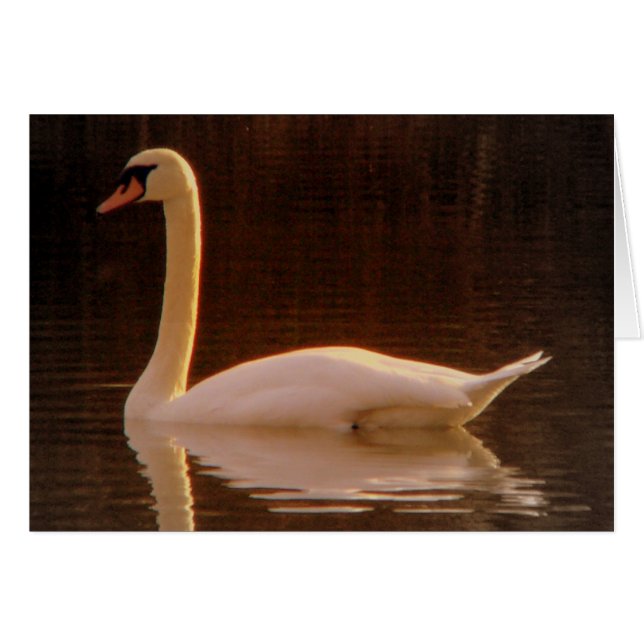 ちょうど夢 (正面横)