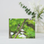 ちょうど座っのまわりにて ポストカード (スタンド正面)